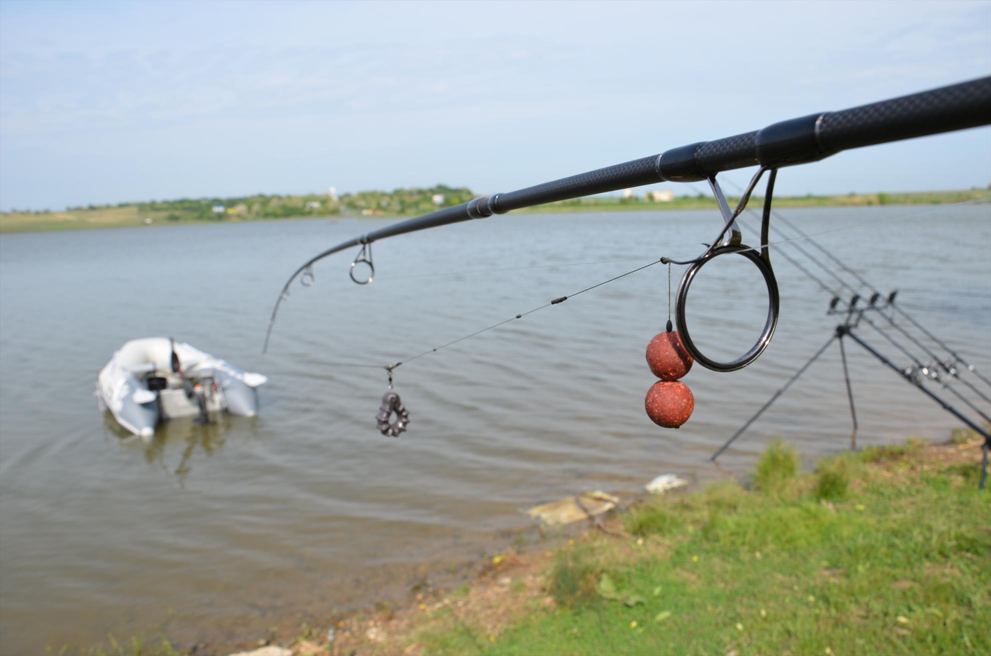 Ponturi pentru pescuit plantat